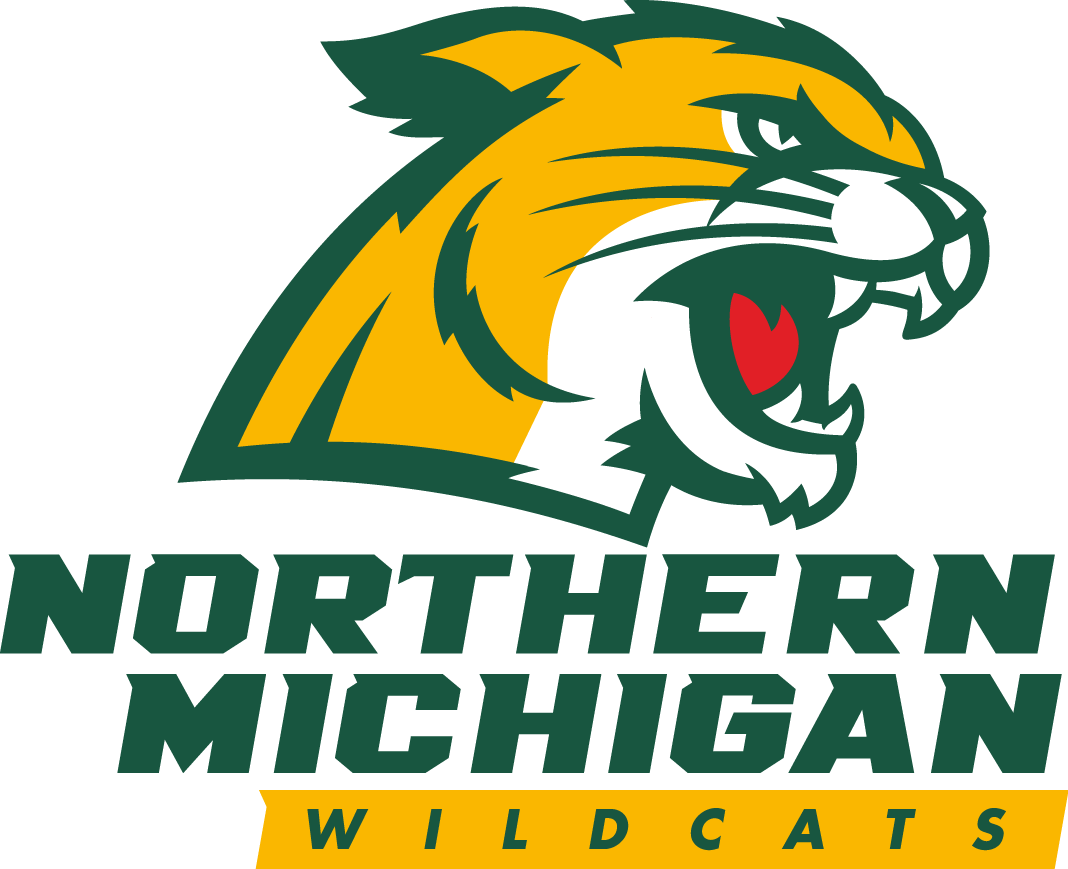 Northern Michigan Wildcats 2016-Pres Primary Logo iron on transfers for clothing